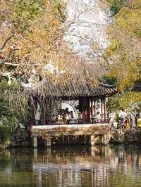 【拙政园】蘇州の秋を象徴するような🍁穏やかで美しい時間でした🍁