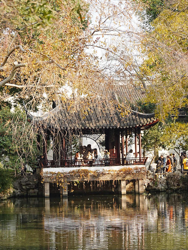 【拙政园】蘇州の秋を象徴するような🍁穏やかで美しい時間でした🍁 【拙政园】蘇州の秋を象徴するような🍁穏やかで美しい時間でした🍁