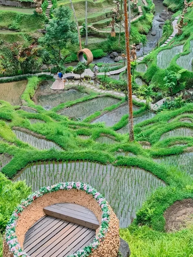 Bali Swing Bliss🌴