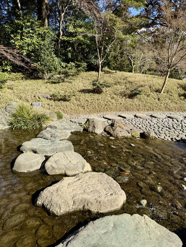 A Japanese Garden Designed for Reflection | Trip.com Tokyo