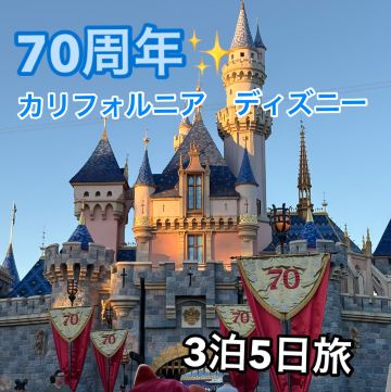 70周年】3泊5日でカリフォルニアのディズニーへ✈️ | Trip.com アナハイム