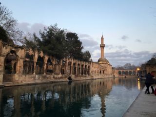Şanlıurfa: The Spiritual Heart of Ancient Mesopotamia 🕊️
