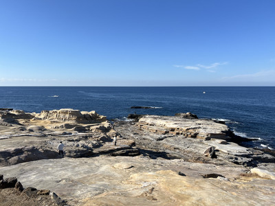 Be sure to add Senjojiki in Shirahama to your bucket list! | Trip
