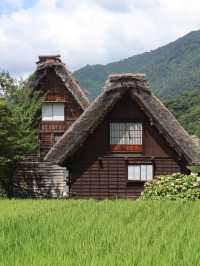 🇯🇵 Summer Memories Across Central Japan