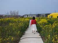 Udo, Jeju: Korea’s Coral Island