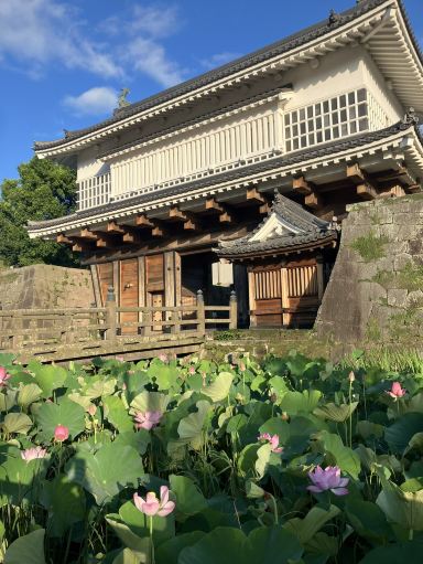 Trip to Kagoshima [Kirishima Area]³₃.