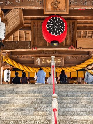Nott he usual Shrine visit
