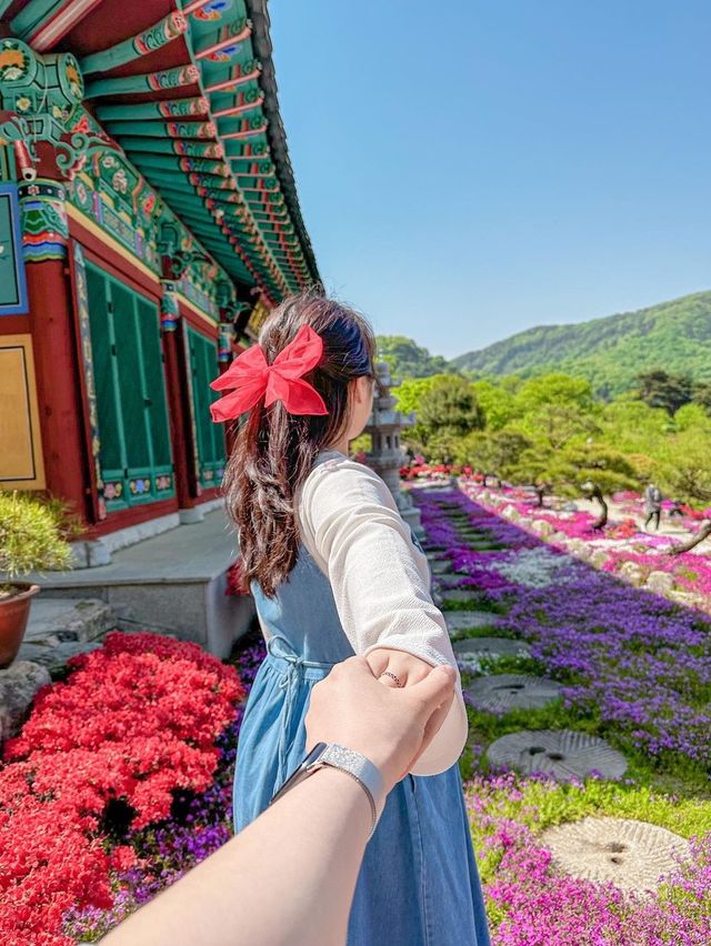 녹음짙은 공주 여행지 추천💚