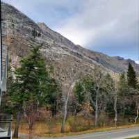 Treat all of your senses in Waterton