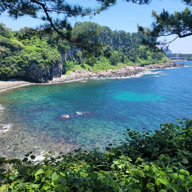 💙파워에이드 그 자체의 바다, 외돌개💙