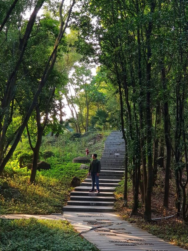 Best sunset hike in Shenzhen 