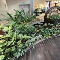 Steel in Bloom @ Changi Airport T4