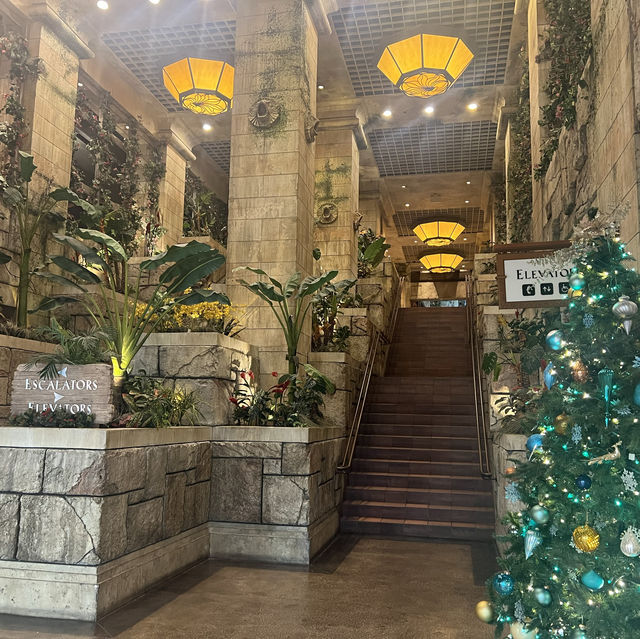 Christmas time at Mandalay Bay’s Shark Reef