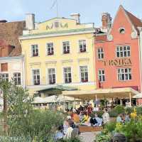 พิดกัดที่เที่ยวเอสโตเนีย Tallinn old town