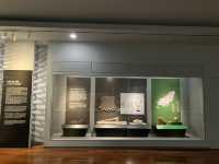 Busan Museum; a must-see