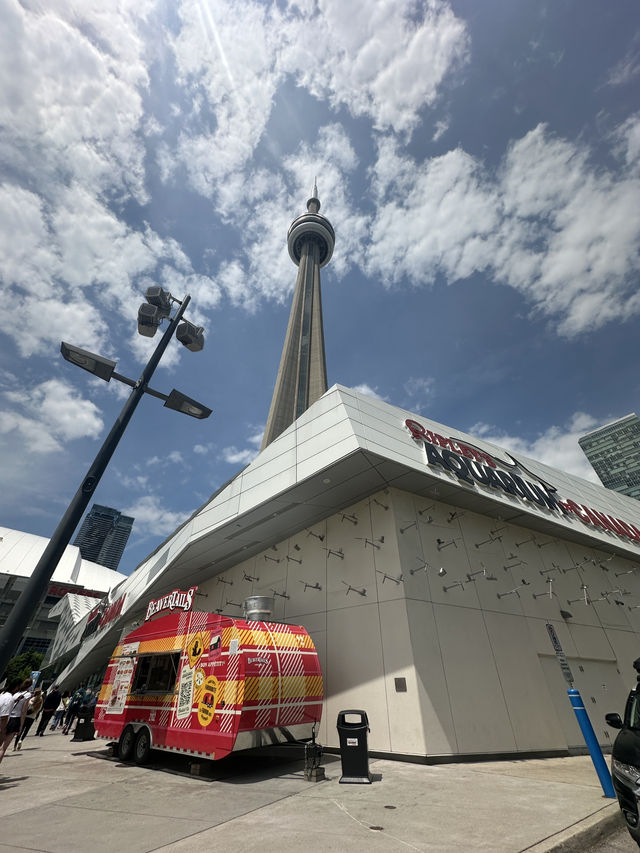 CN tower, train and tasty bites! 