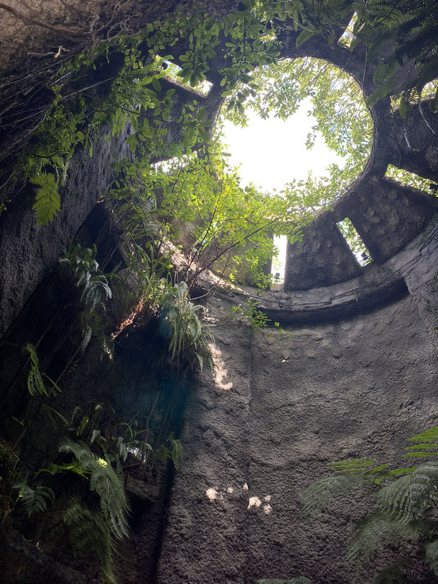 🇯🇵高知旅、朝ドラらんまんで話題になった【牧野植物園】