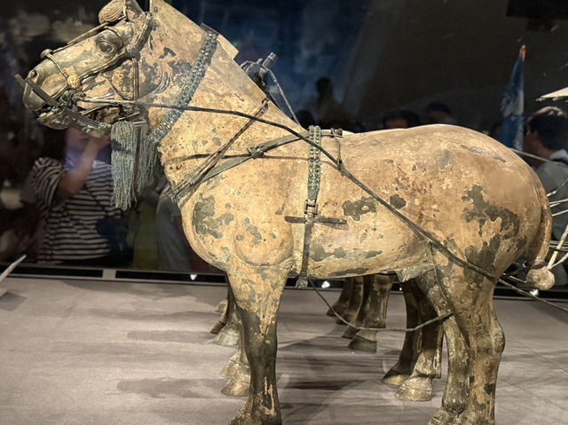 The 2,200-Year-Old Bronze Chariots of the first Emperor of China