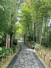 🏮【伊豆修善寺】隱世古町的日式療癒之旅🌿｜溫泉、竹林小徑、禪意滿滿✨