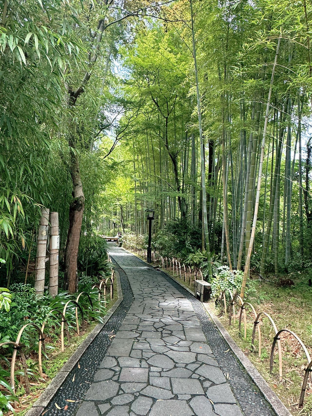 🏮【伊豆修善寺】隱世古町的日式療癒之旅🌿｜溫泉、竹林小徑、禪意滿滿✨