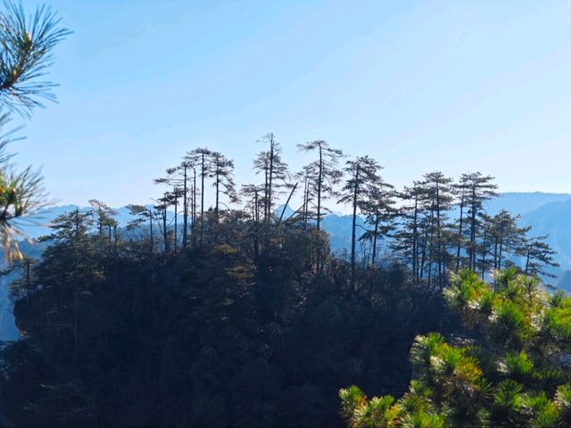 美麗的張家界黃石寨 美麗的張家界黃石寨