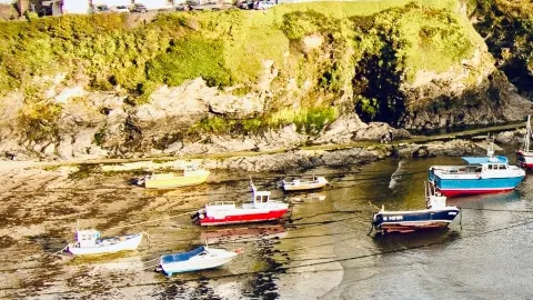 黑龍江雞西興凱湖秋季蘆葦湖岸環線 — traveler post in 雞西