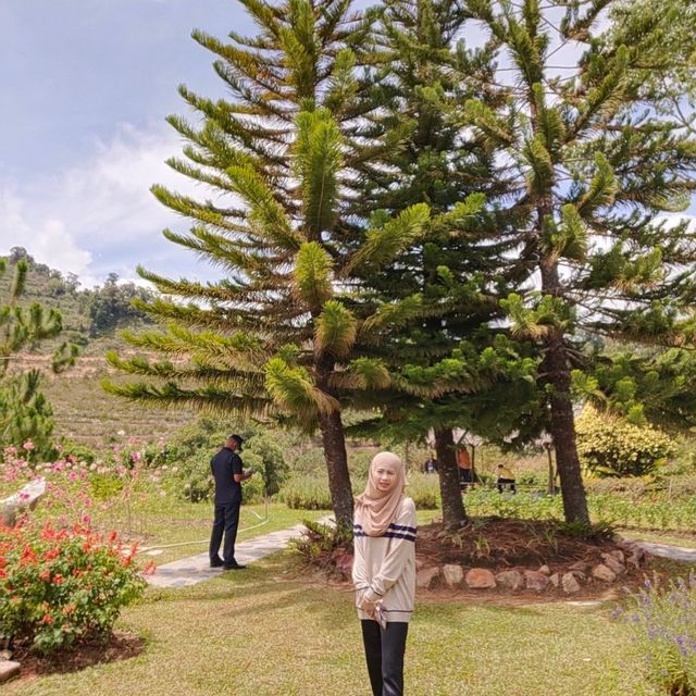 สวนไม้ดอกเมืองหนาวเบตง (สวนหมื่นบุปผา)