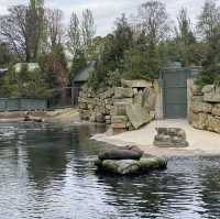 아일랜드 더블린 동물원, Dublin Zoo