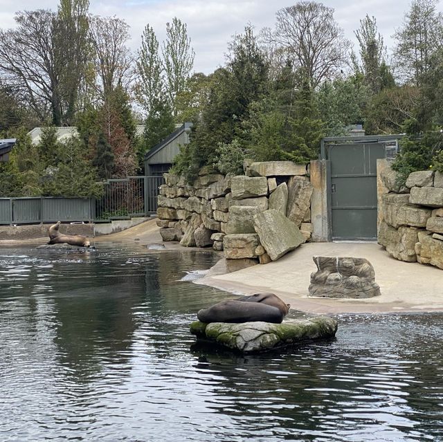 아일랜드 더블린 동물원, Dublin Zoo