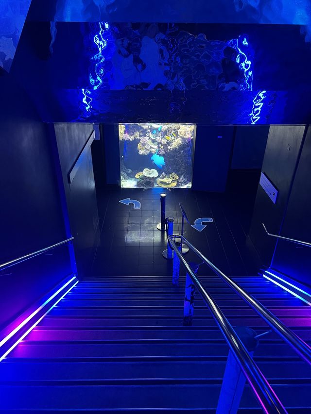 세계적 규모의 해양박물관: 모나코 해양박물관