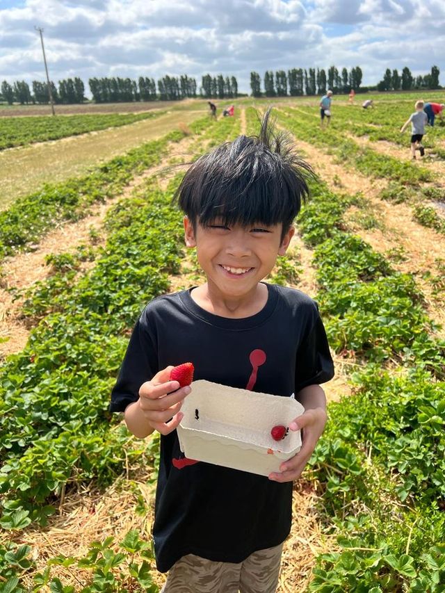 英國摘士多啤梨 ｜ 免費入場