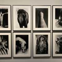 Capturing Essence at The PhotographersGallery