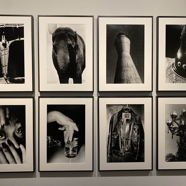Capturing Essence at The PhotographersGallery