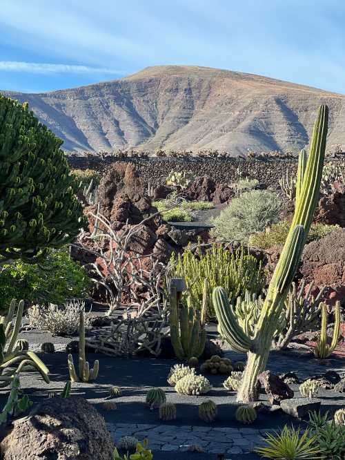 Jardin de Cactus Restaurant