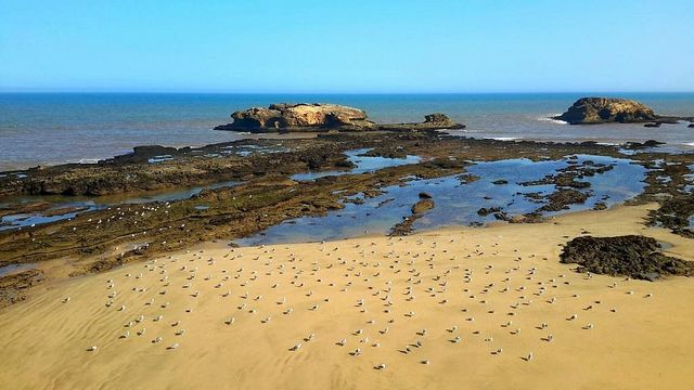 Enigmatic Essaouira: A Coastal Gem 🏰🌊