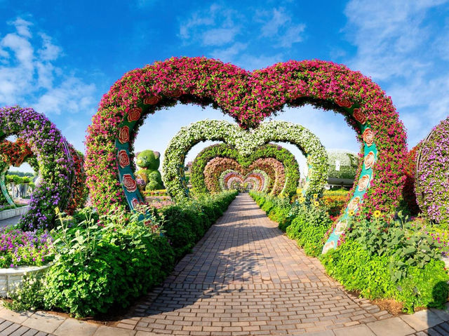 Miracle Garden Dubai 🗺️