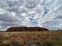 Majestic Sunsets at Uluru