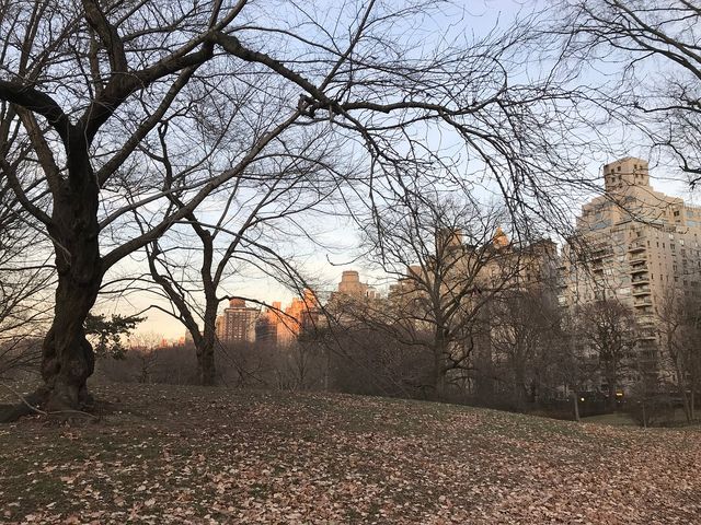 New York's Palette