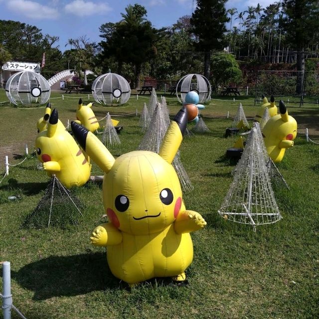 🐤東南植物樂園🦫日本最大的戶外植物園之一🌺