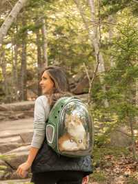 어케이디아 국립 공원  Acadia National Park