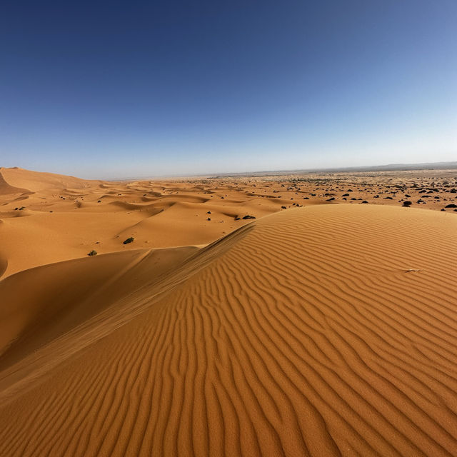 Discovering the Hidden Gems of Merzouga: A Gateway to the Sahara 🇲🇦 