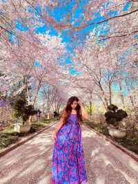 Sarah P. Duke Gardens