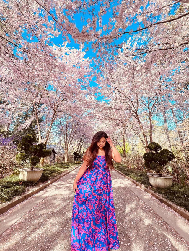 Sarah P. Duke Gardens
