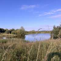 A piece of tranquility right next to the M6