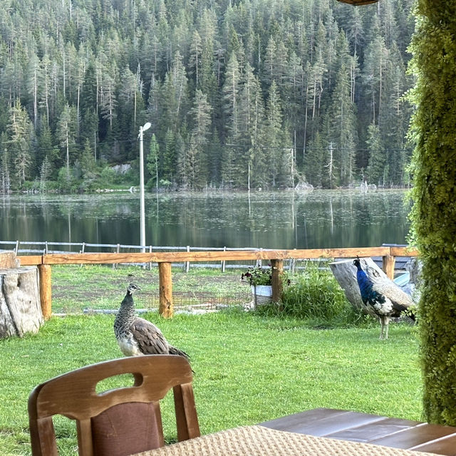 Lake House Stay in Montenegro