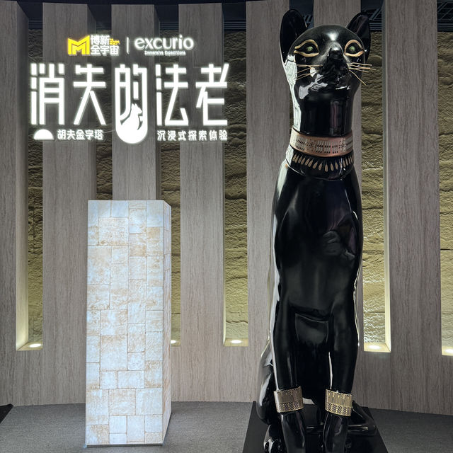 Explore Shanghai Museum