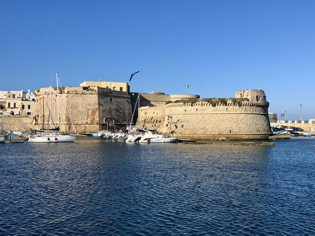 Gracious Gallipoli