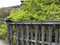The Kyoto Imperial Palace (京都御所, Kyōto Gosho)