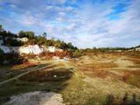 Cherry Hinton Chalk Pits – Nature’s Quiet Corner in Cambridge