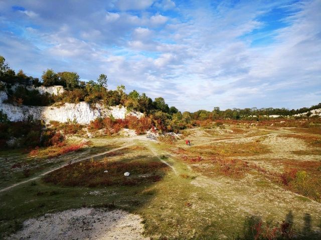 Cherry Hinton Chalk Pits – Nature’s Quiet Corner in Cambridge